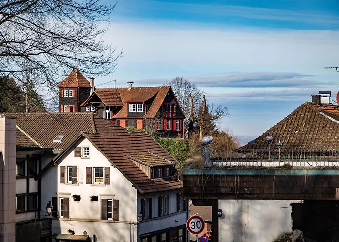 living TIMELESS - Adler Apartments Sasbachwalden